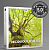 Deciduous Forests