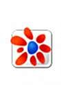 FastStone MaxView 100-299 users (per user)