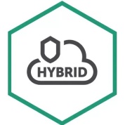  Kaspersky Security для виртуальных и облачных сред, Core Russian Edition. 3 - Core 2 year Renewal License - Лицензия