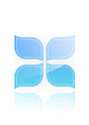AfterLogic MailBee.NET Objects Unlimited Developers