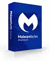 Malwarebytes For Teams, 1 licens