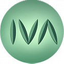 IVA MCU WebRTC (только e-mail), 1 год, 5 раб.днейх8 раб.часов