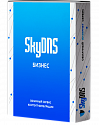 SkyDNS Бизнес. 80 лицензий на 1 год