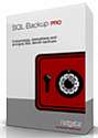 SQL Backup Professional with 1 year support 7 servers