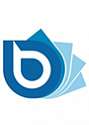 BlueStream Руководитель