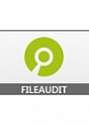 FileAudit SMALL 500 users 3 servers