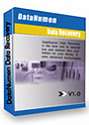 DataNumen Data Recovery
