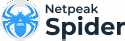 Netpeak Spider Lite 3 года