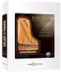 Best Service Galaxy X