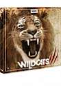 Wildcats