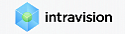 IntraService HelpDesk SaaS+ (1 месяц)