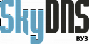 SkyDNS ВУЗ. 200 лицензий на 1 год