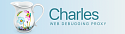 Charles Proxy 1 user