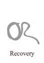 Recovery for Paradox Standard License