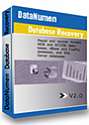 DataNumen Database Recovery