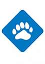 SmartBear TestExecute - Floating License - (3 Year Subscription)