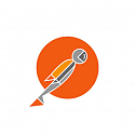 Postman Professional, annual, per 1 user