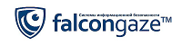 Falcongaze