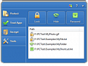 File Lock Single license