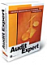 Audit Expert Standard Сетевая версия 10 рабочих мест