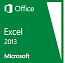 Excel 2013 32-bit/x64 Russian CEE DVD
