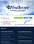 Findberry Site Search Pro 1 Year