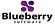 Blueberry Software